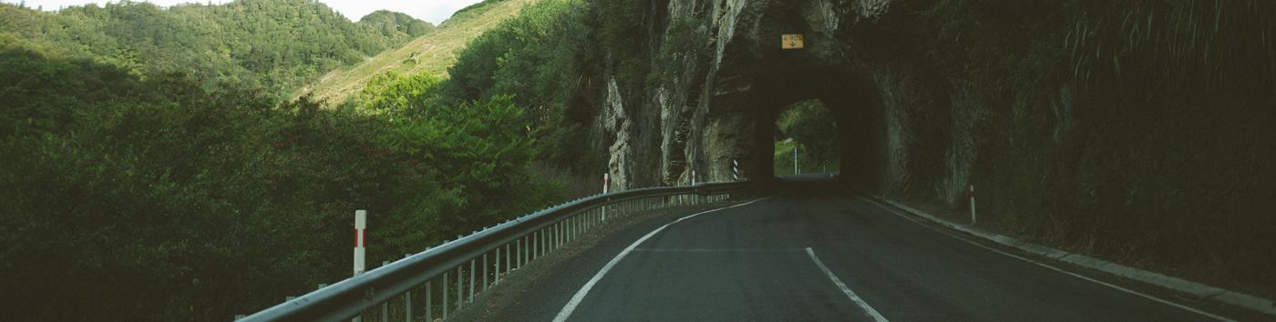 Can you put ingredients in your bike blender and process them while riding down mountains? Yes you can.