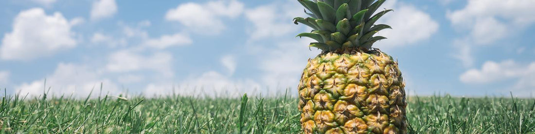 Smoothie Recipe: Paradise Punch